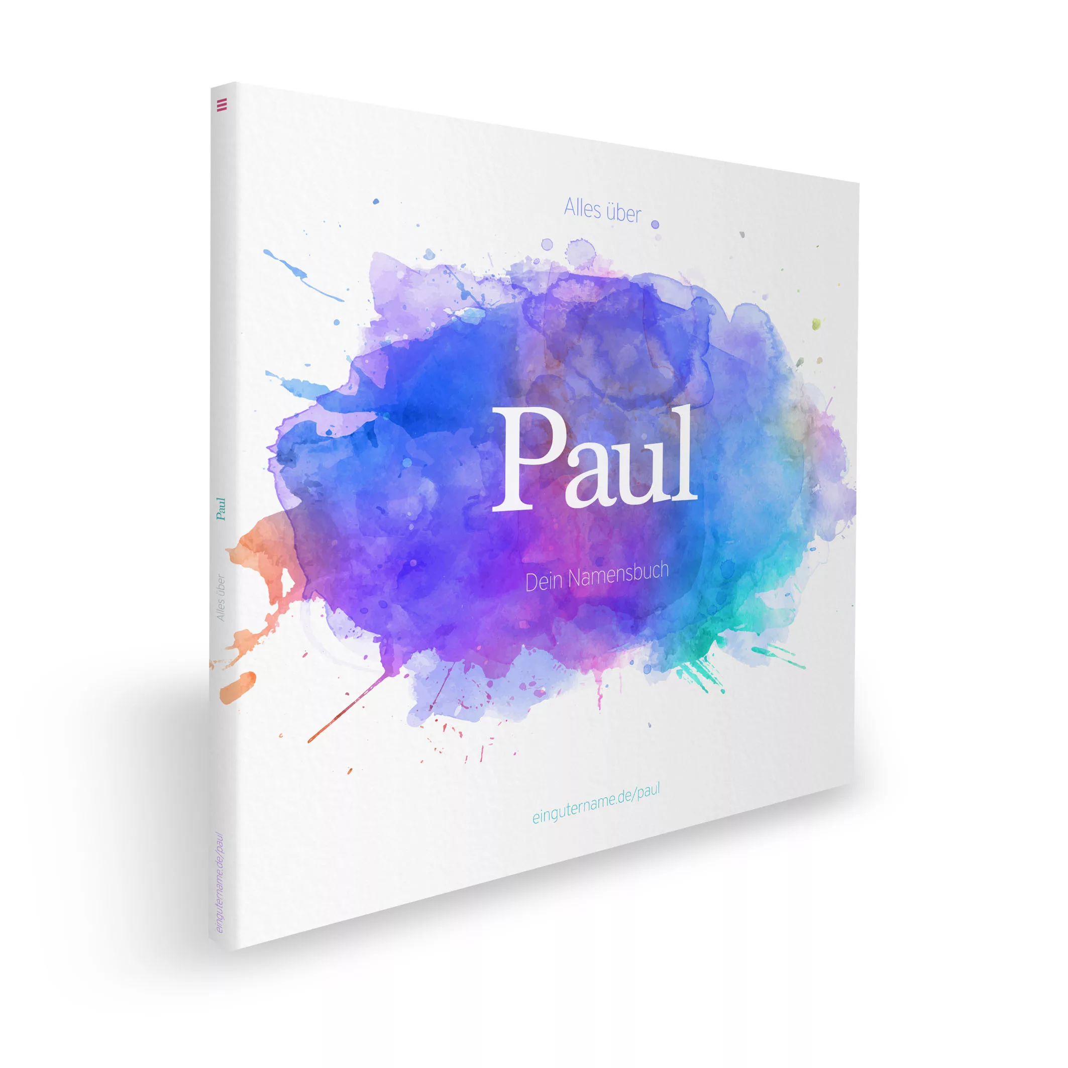 Cover vom Bild Alles über Paul